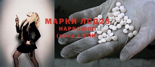 PSILOCYBIN Горняк