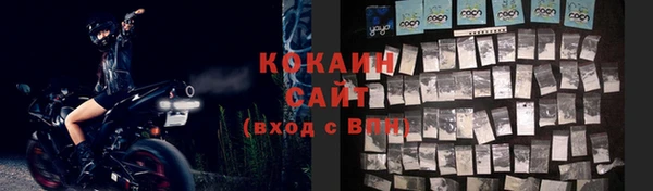 PSILOCYBIN Горняк