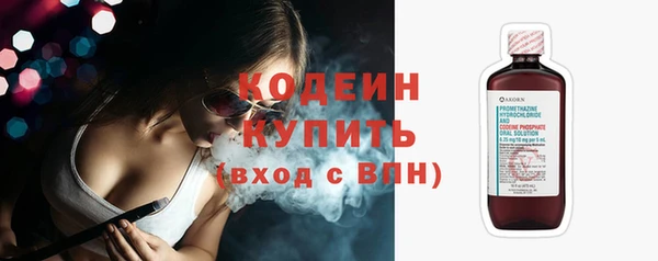 PSILOCYBIN Горняк