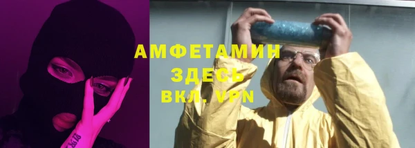 PSILOCYBIN Горняк