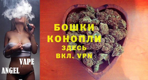 PSILOCYBIN Горняк