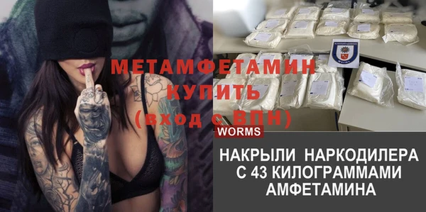 PSILOCYBIN Горняк
