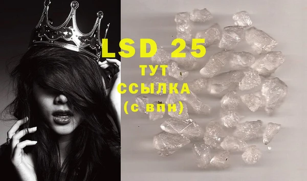 PSILOCYBIN Горняк