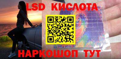 Альфа ПВП Гатчина