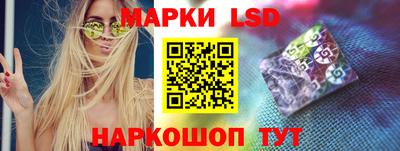 Альфа ПВП Гатчина