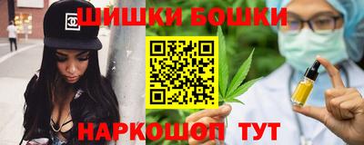 Альфа ПВП Гатчина