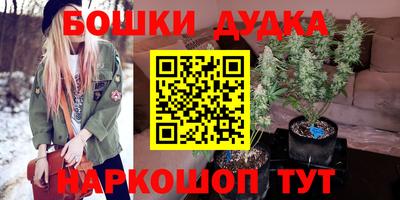 Альфа ПВП Гатчина