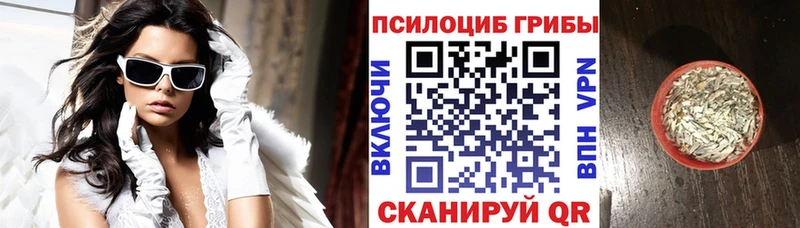 Галлюциногенные грибы Psilocybe  магазин продажи наркотиков  Петропавловск-Камчатский 