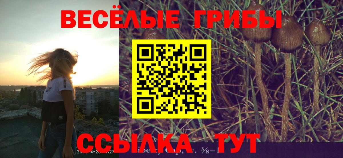 Псилоцибиновые грибы мухоморы  Вход с VPN  что такое наркотик  Петропавловск-Камчатский 