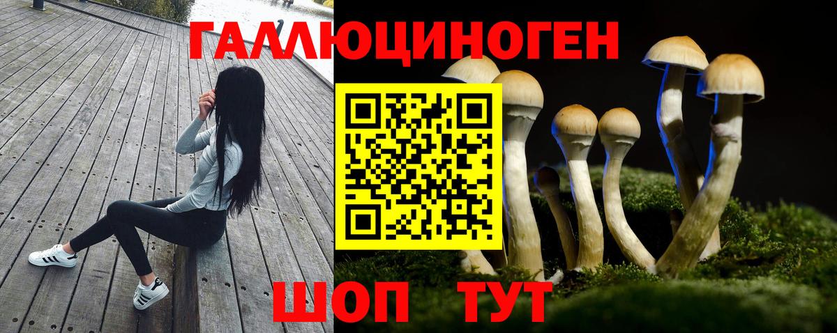 МЕФ  Канабис  Меф МЯУ МЯУ   А ПВП СОЛЬ   Гашиш  Петропавловск-Камчатский  ЭКСТАЗИ  Кокаин  МЕТАМФЕТАМИН  Вход с VPN 